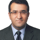 Prof. Dr. Ali Dursun