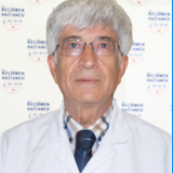 Prof. Dr. Hamdullah Aydın