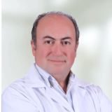 Prof. Dr. Merih Önol