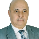 Prof. Dr. İbrahim Balcıoğlu