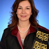 Prof. Dr. Fatiş Altındaş