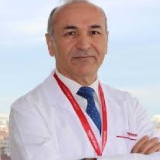 Prof. Dr. Sedat Gürkök