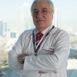 Prof. Dr. Ali Oto