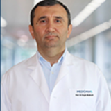 Prof. Dr. Engin Bozkurt