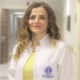 Dr. Öğr. Üyesi Servin Ergin