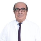 Prof. Dr. Ergun Erdoğan