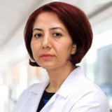 Dr. Öğr. Üyesi Nilgün Pala Açıkgöz