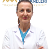 Prof. Dr. Ünase Büyükkoçak