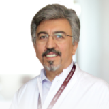 Prof. Dr. Salih Özgöçmen