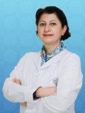 Dr. Elif Hüdayar Işık