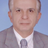 Prof. Dr. M. Teoman Söhmen