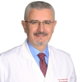 Prof. Dr. Mehmet Güler
