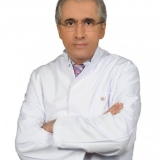 Dr. Öğr. Üyesi Mehmet Çeber
