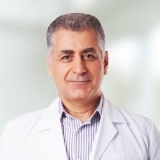 Dr. Öğr. Üyesi İbrahim Şahmaz