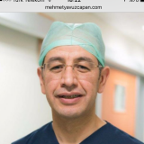 Op. Dr. Mehmet Yavuz Çapan