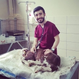 Veteriner Hekim (Pratisyen) Mert Oral
