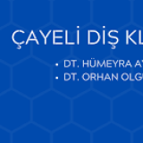 Dt. Orhan Olgun