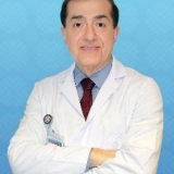 Prof. Dr. Vedat Göral