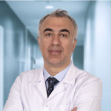 Doç. Dr. Sabahattin Destek