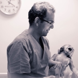 Op. Dr. Filip Taşhan
