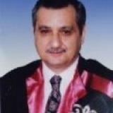 Prof. Dr. Necdet Biliciler