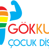 Dr. Öğr. Üyesi Seyit Ahmet Öztürk
