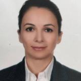 Prof. Dr. Zeynep Aydın
