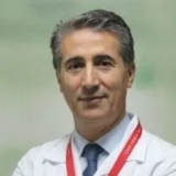Prof. Dr. Mahmut Aslan