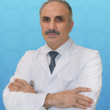Prof. Dr. Mehmet Bulut