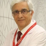 Prof. Dr. Ali Anarat