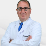 Prof. Dr. İstemihan Tengiz