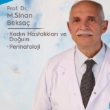 Prof. Dr. Mehmet Sinan Beksaç