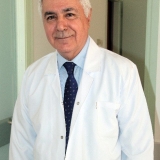 Prof. Dr. Mehmet Satar