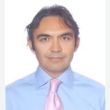 Prof. Dr. Mesut Demir
