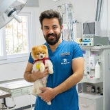 Vet. Alp Kılıç