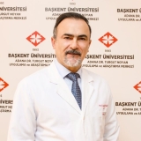 Prof. Dr. İsmail Yılmaz