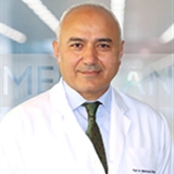 Prof. Dr. Mehmet İbiş