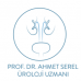 Prof. Dr. Ahmet SEREL