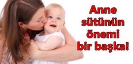 Anne sütünü artıran besinler