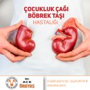 Çocukluk çağı böbrek taşı hastalığı
