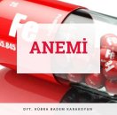 Anemi (demir eksikliği)