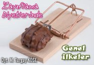 Zayıflama diyetlerinde genel ilkeler