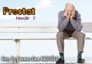 Prostat nedir ?
