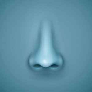 Rinoplastinin gelişimi son zamanlarda nasıl olmuştur?