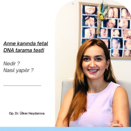 Nıpt test nedir?