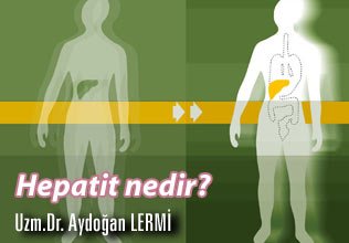 Hepatit nedir?