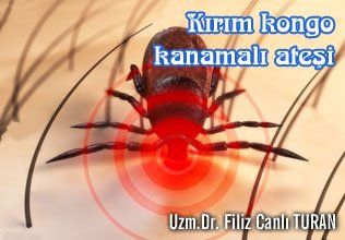 Kırım kongo kanamalı ateşi