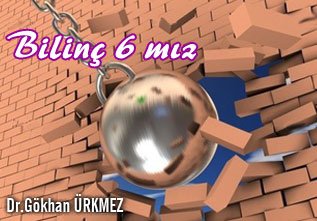 Bilinç 6 mız