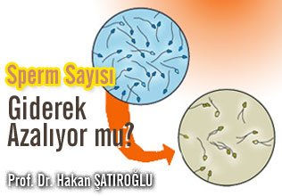 Sperm sayısı giderek azalıyor mu?
