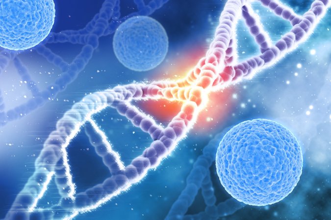 2020 yılında 10 milyon kişi bu hastalık nedeniyle hayatını kaybetti ?